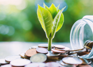 Green Business, Real Profits?